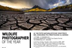 Locandina mostra Wildlife Photographer of the Year